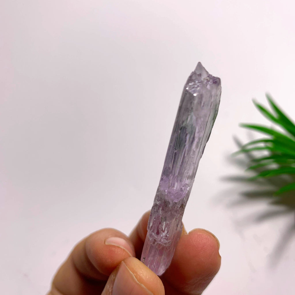Gemmy Double Terminated Natural Lavender Kunzite Specimen  From Brazil  #1 - Earth Family Crystals