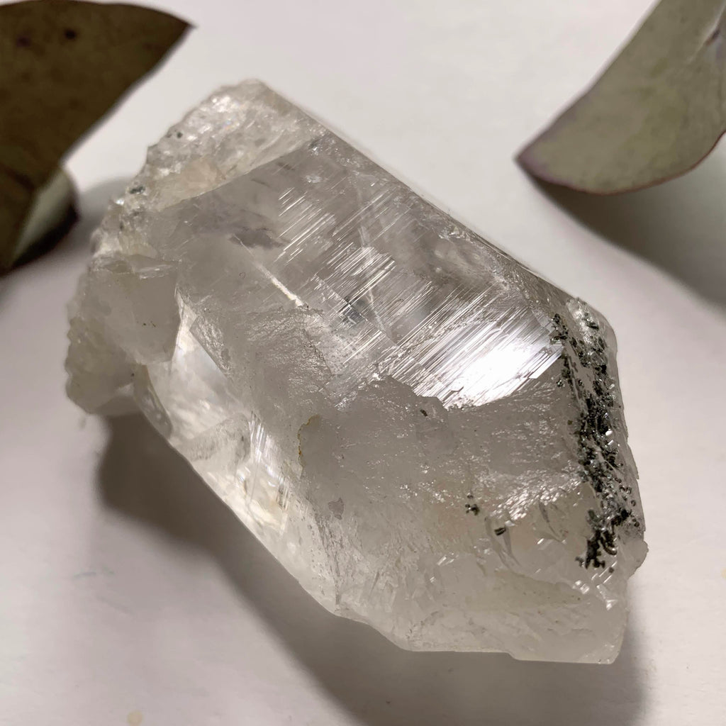 Rare Locality! Nepal Clear Quartz Natural Gemmy Point Specimen From The Himalaya Mountains - Earth Family Crystals