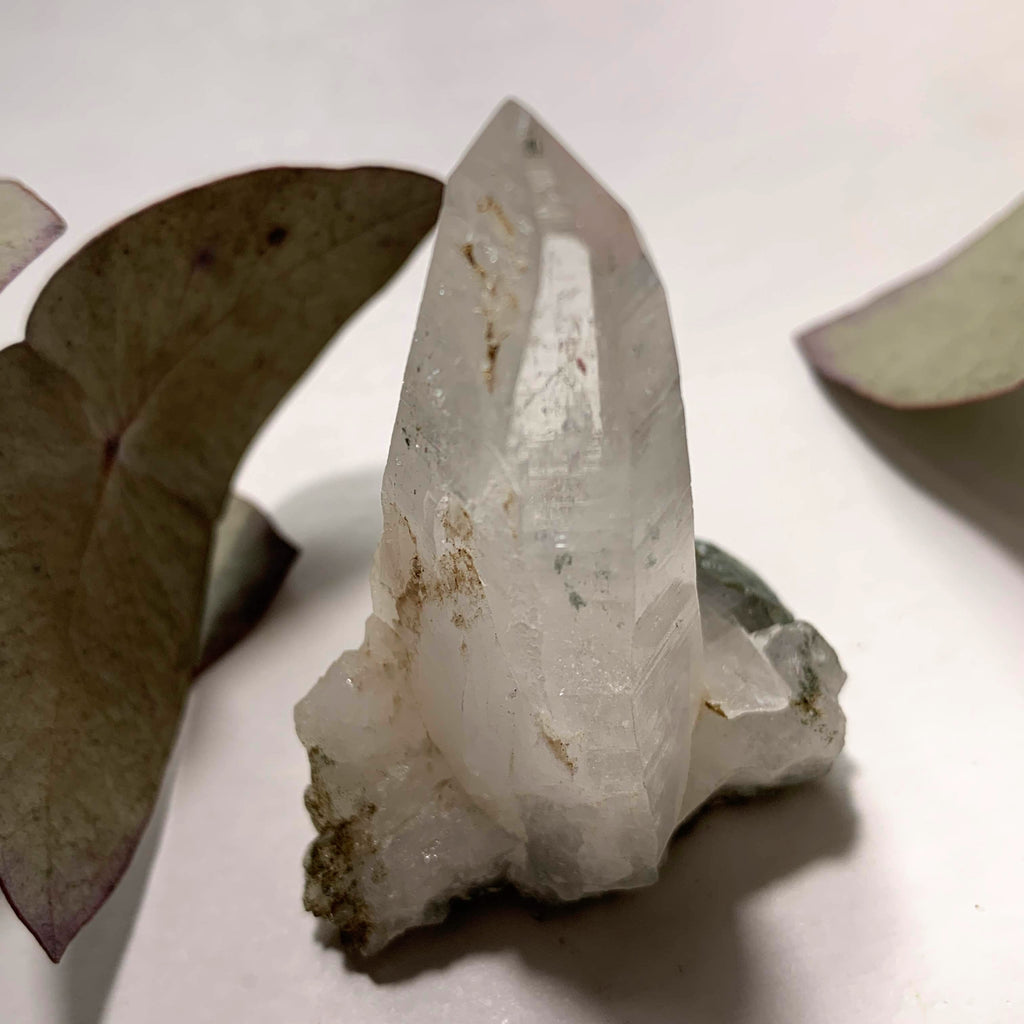 Rare Locality! Nepal Clear Quartz & Chlorite Included Standing Specimen From The Himalaya Mountains - Earth Family Crystals