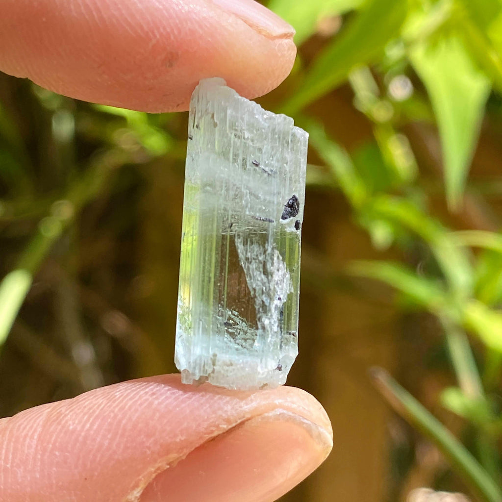 Gemmy Terminated Natural Aquamarine Specimen with Black tourmaline inclusions in Collectors box - Earth Family Crystals