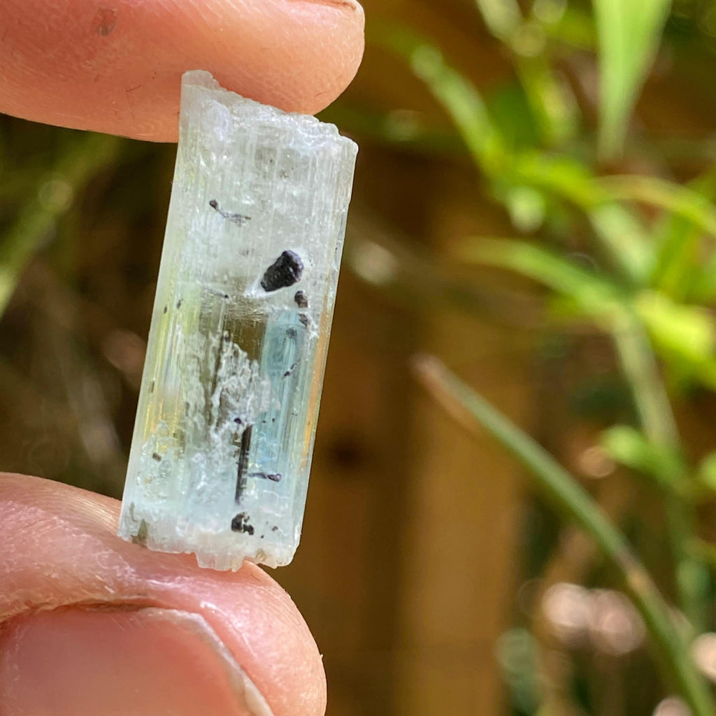 Gemmy Terminated Natural Aquamarine Specimen with Black tourmaline inclusions in Collectors box - Earth Family Crystals
