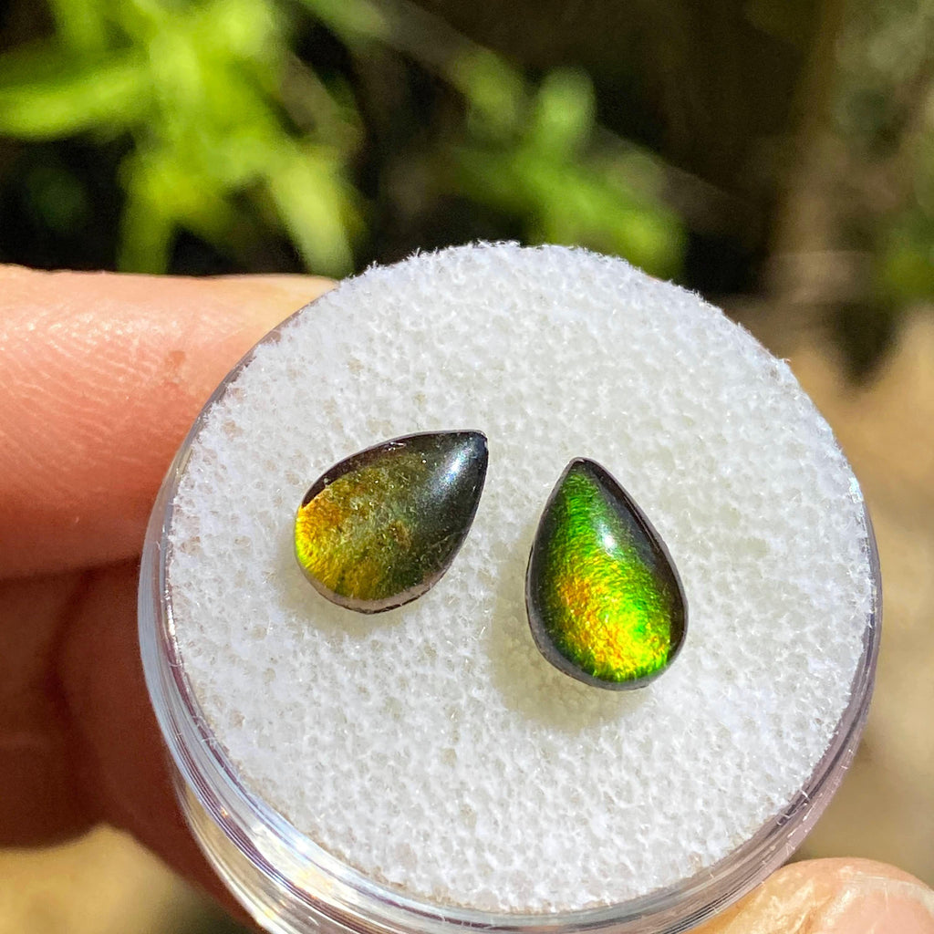 Quartz Capped Matching set of 2 Alberta Ammolite Teardrop Cabochons ideal for crafting - Earth Family Crystals