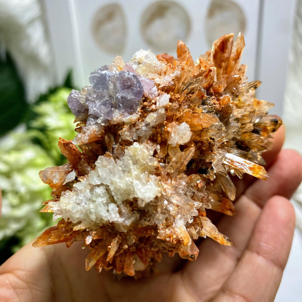 Rare Hedgehog Creedite Natural Specimen With Fluorite Inclusions~Locality Mexico - Earth Family Crystals