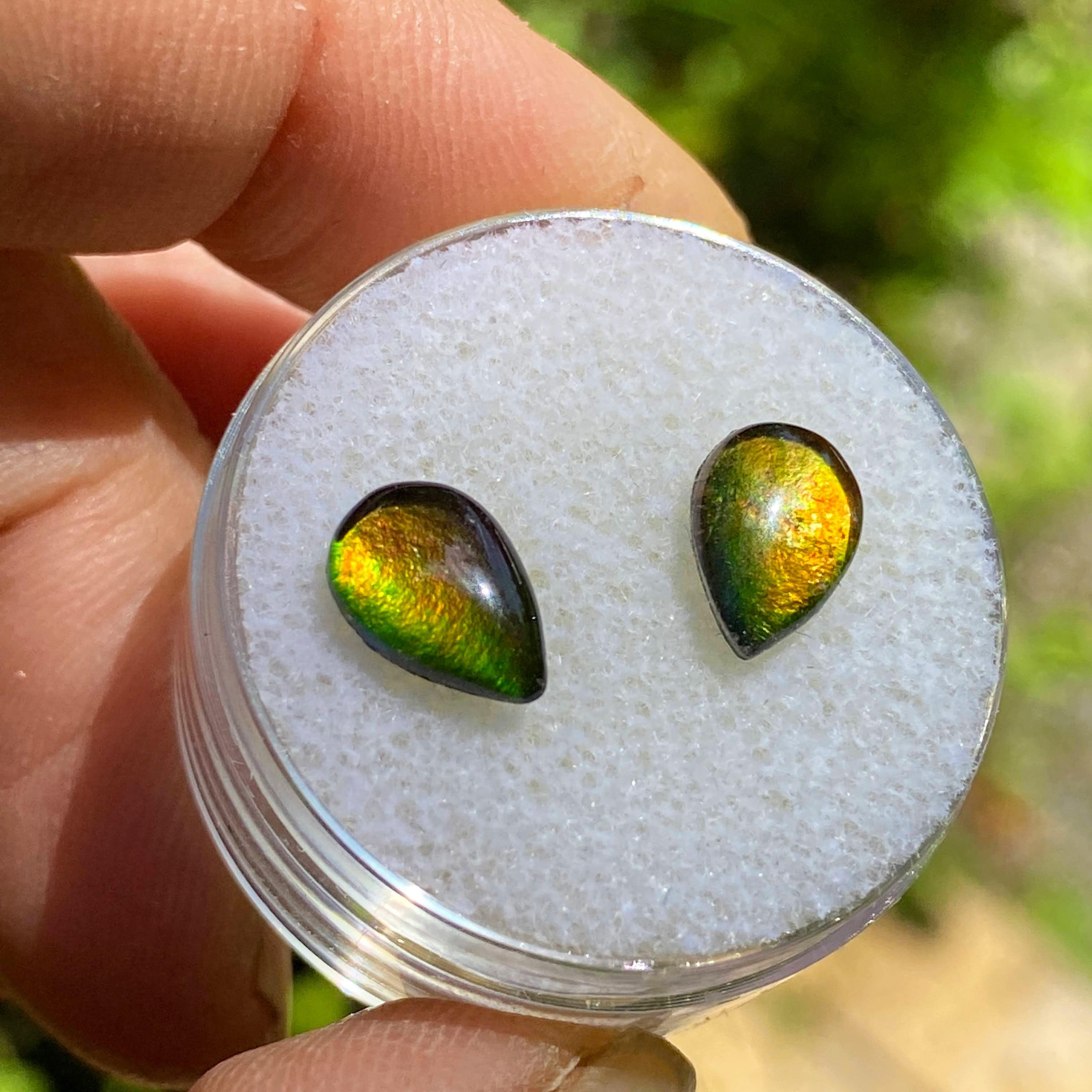 Quartz Capped Matching set of 2 Alberta Ammolite Teardrop Cabochons ideal for crafting - Earth Family Crystals