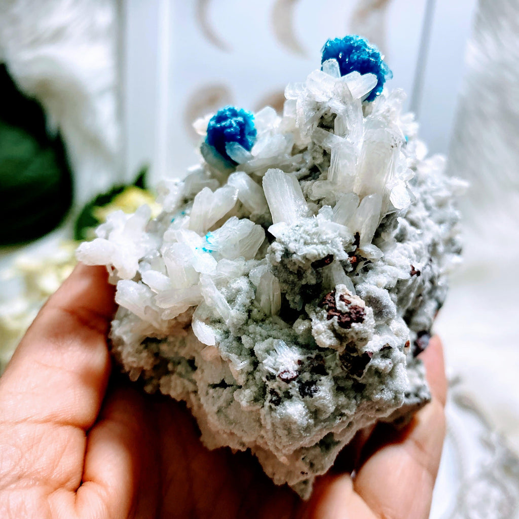 AA Grade Collectors Cavansite Crystals On Sparkly Large Stilbite Matrix From India - Earth Family Crystals