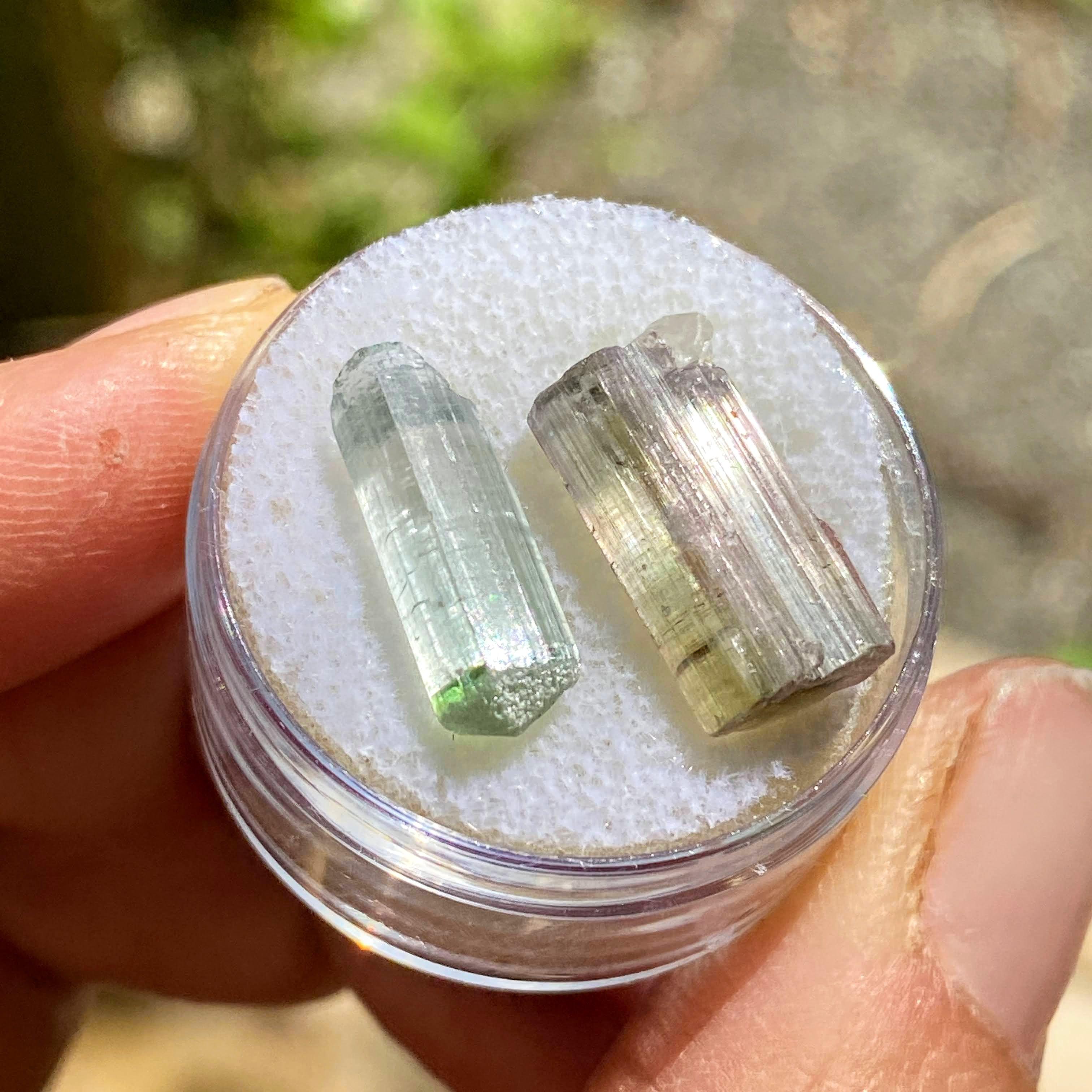 Rare California Find! Set of 2 ~11.5CT Blue/Green & Pink Tourmaline Points ~Locality: Oceanside, California - Earth Family Crystals