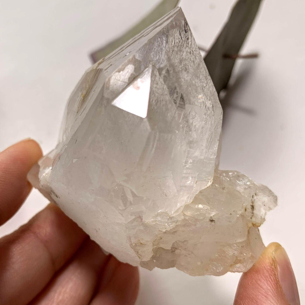 Rare Locality! Nepal Clear Quartz Cluster From The Himalaya Mountains - Earth Family Crystals