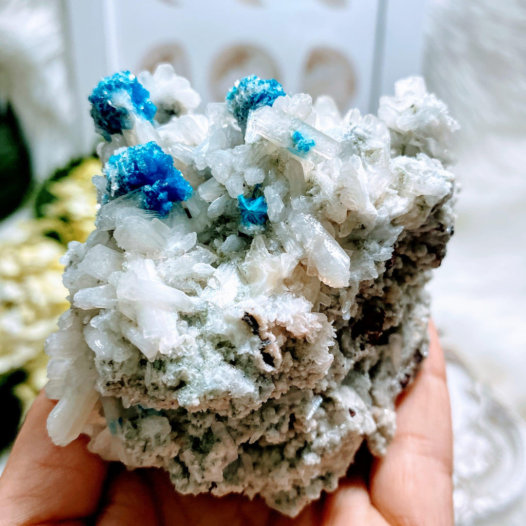 AA Grade Collectors Cavansite Crystals On Sparkly Large Stilbite Matrix From India - Earth Family Crystals