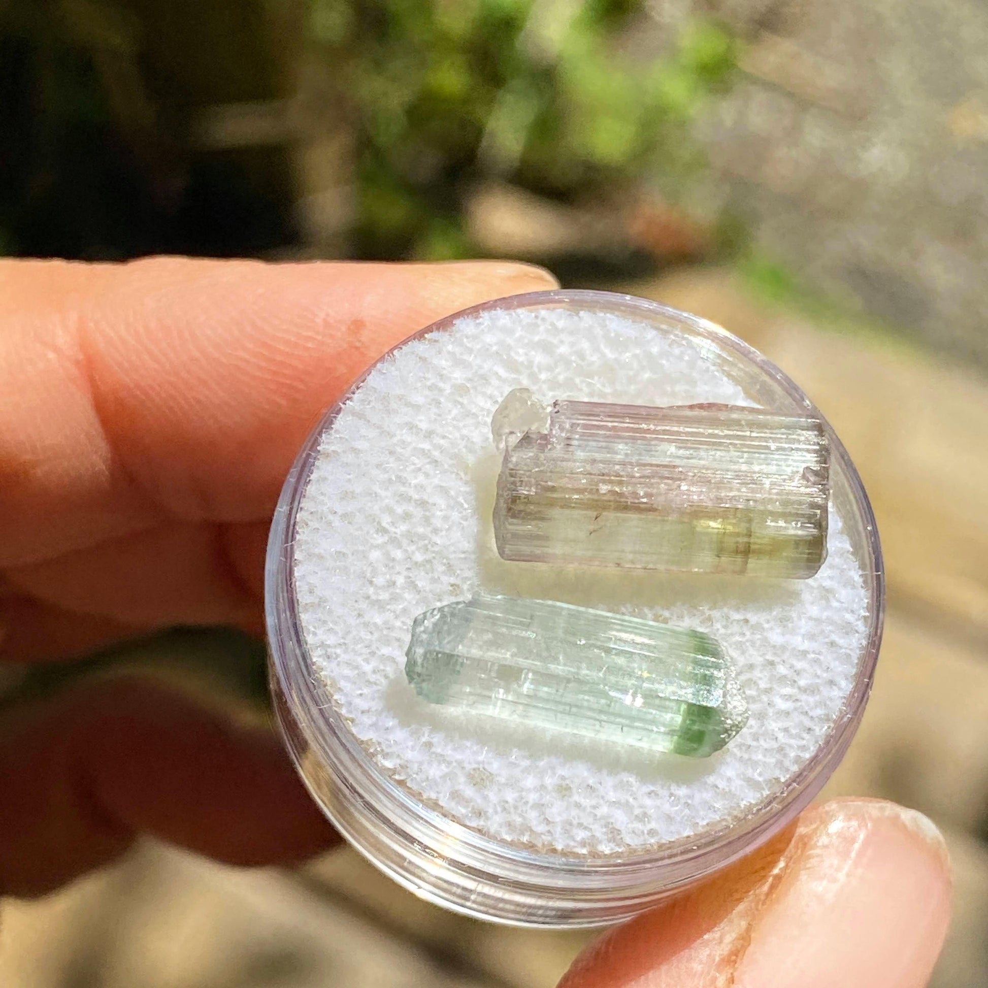 Rare California Find! Set of 2 ~11.5CT Blue/Green & Pink Tourmaline Points ~Locality: Oceanside, California - Earth Family Crystals