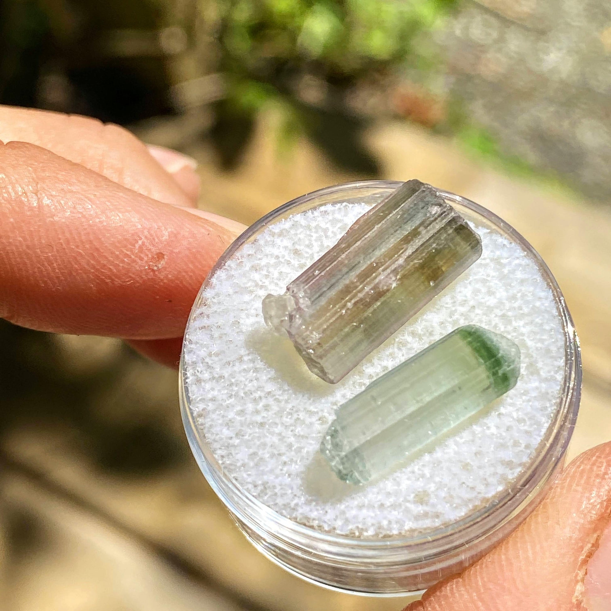 Rare California Find! Set of 2 ~11.5CT Blue/Green & Pink Tourmaline Points ~Locality: Oceanside, California - Earth Family Crystals