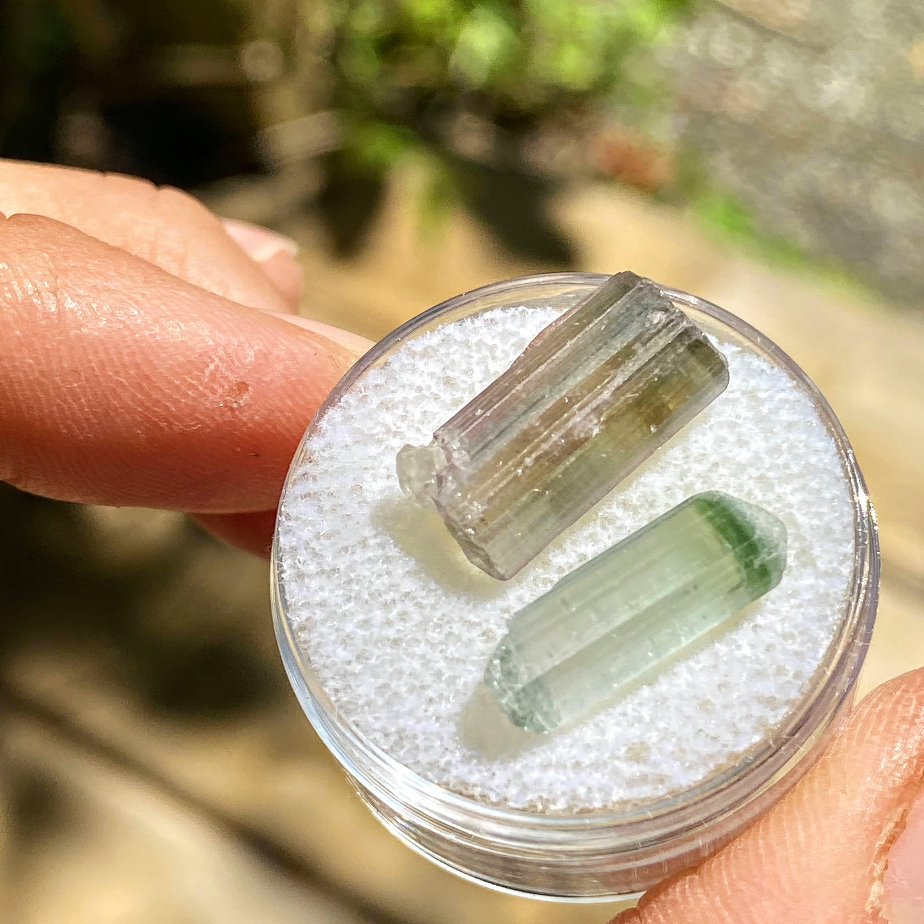 Rare California Find! Set of 2 ~11.5CT Blue/Green & Pink Tourmaline Points ~Locality: Oceanside, California - Earth Family Crystals