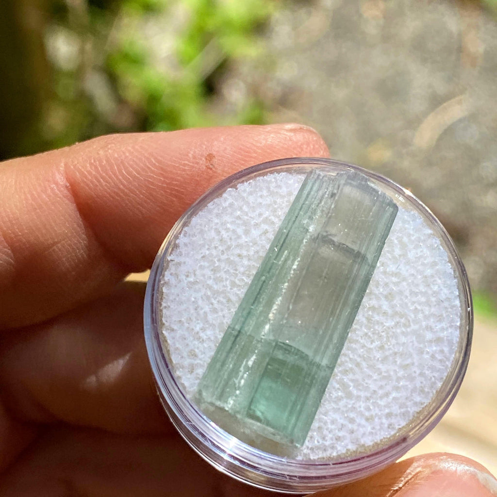 Rare California Find! 14.5CT Blue/Green Tourmaline Terminated Point ~Locality: Oceanside, California - Earth Family Crystals