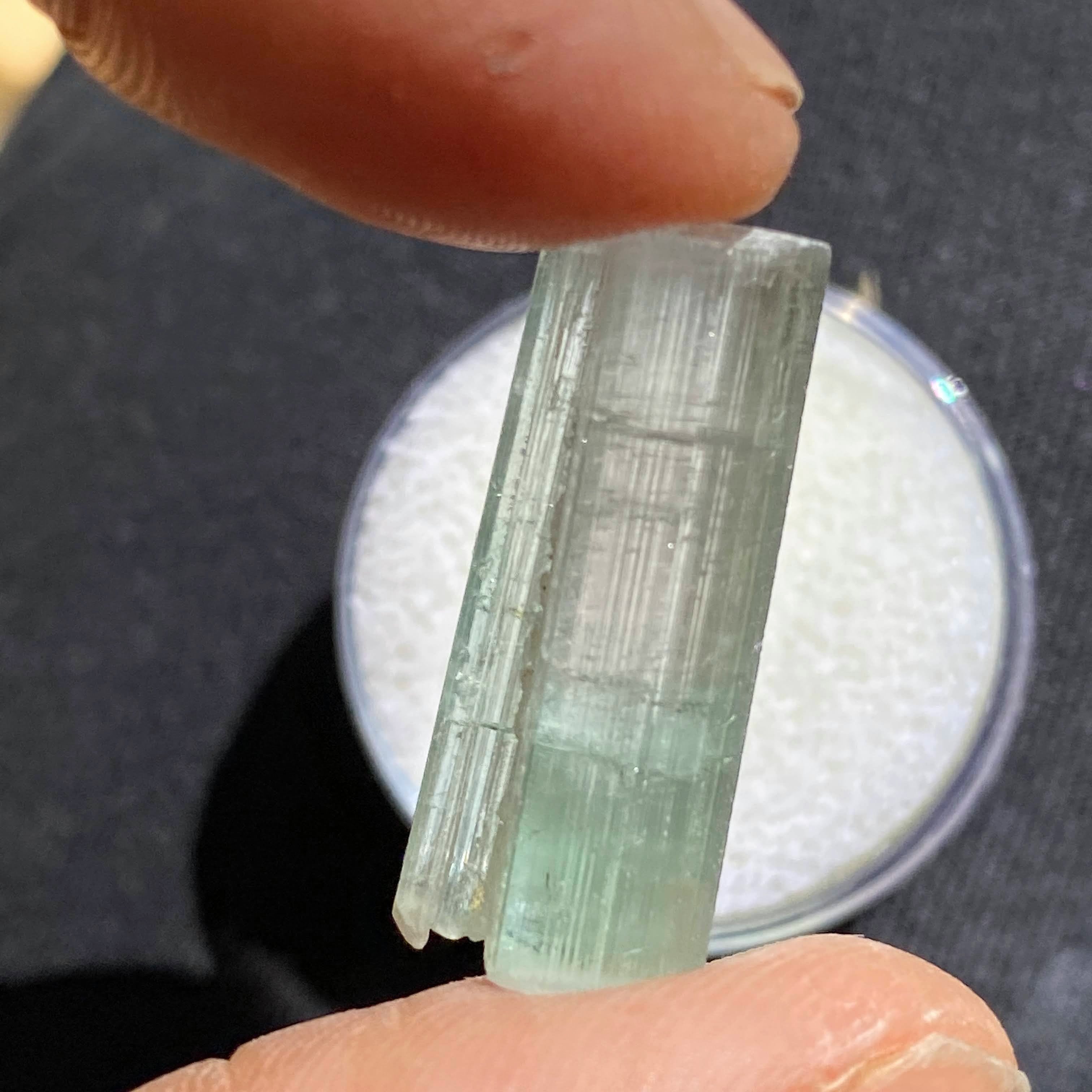 Rare California Find! 14.5CT Blue/Green Tourmaline Terminated Point ~Locality: Oceanside, California - Earth Family Crystals
