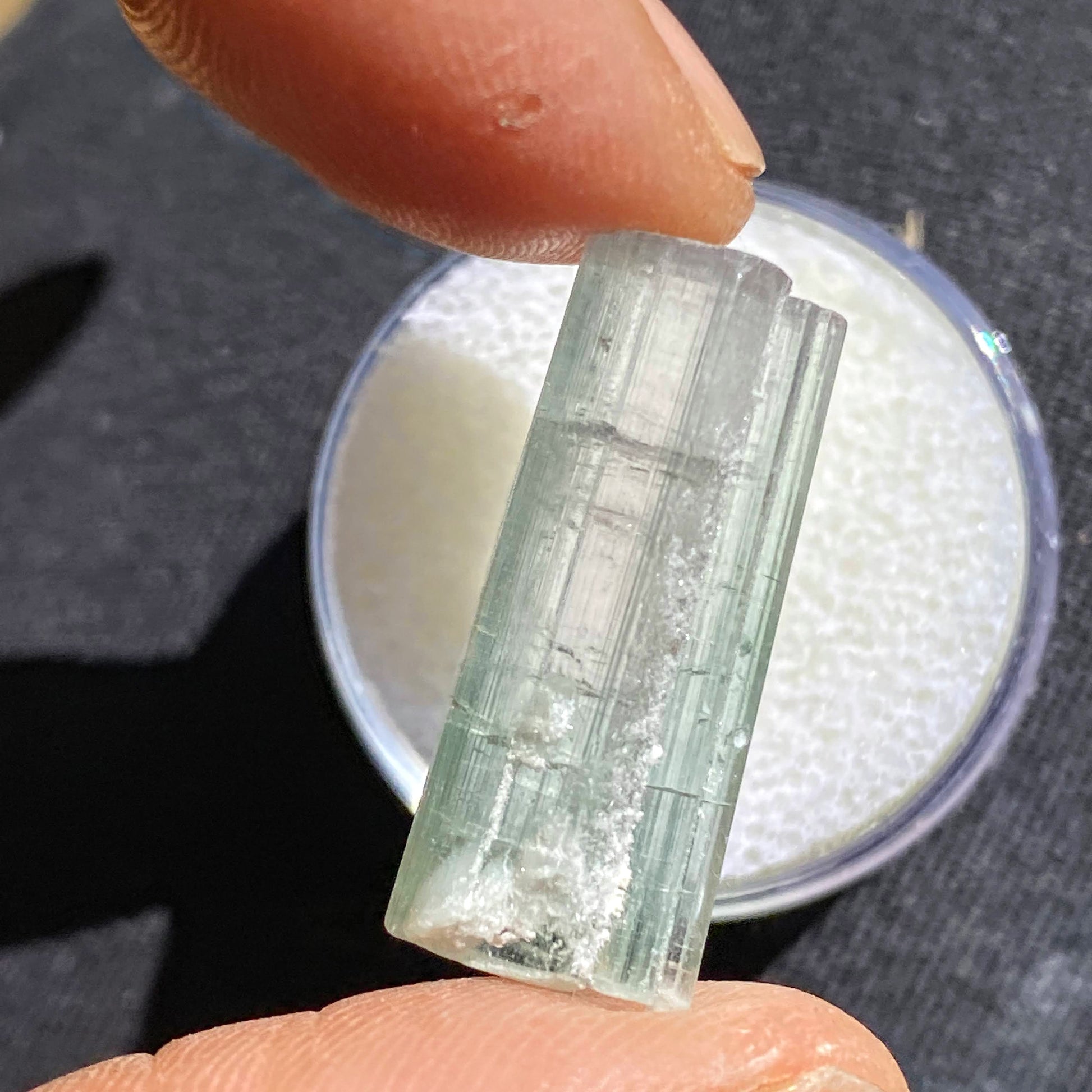 Rare California Find! 14.5CT Blue/Green Tourmaline Terminated Point ~Locality: Oceanside, California - Earth Family Crystals