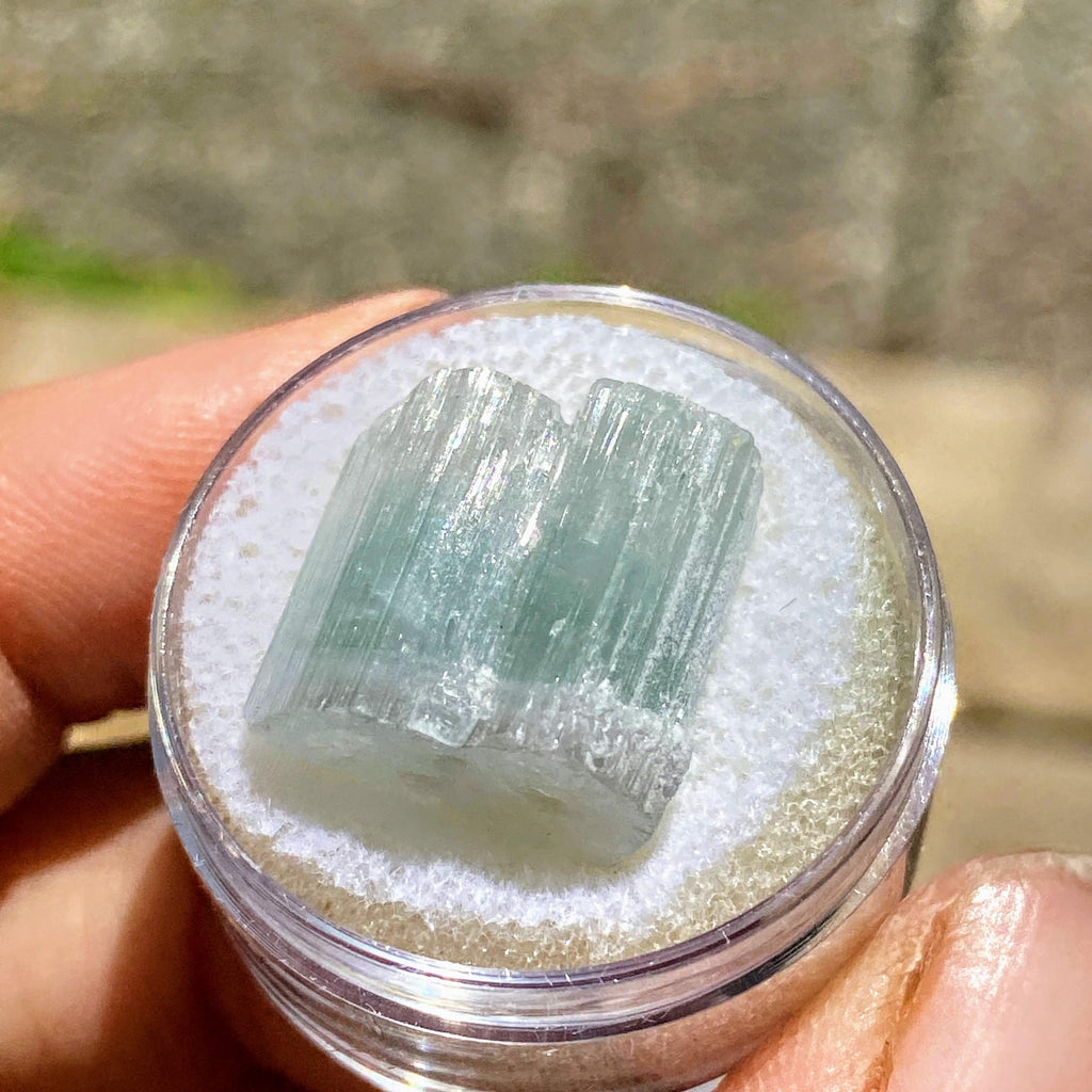 Rare California Find! 24CT Indicolite Blue Tourmaline Terminated Point ~Locality: Oceanside, California - Earth Family Crystals