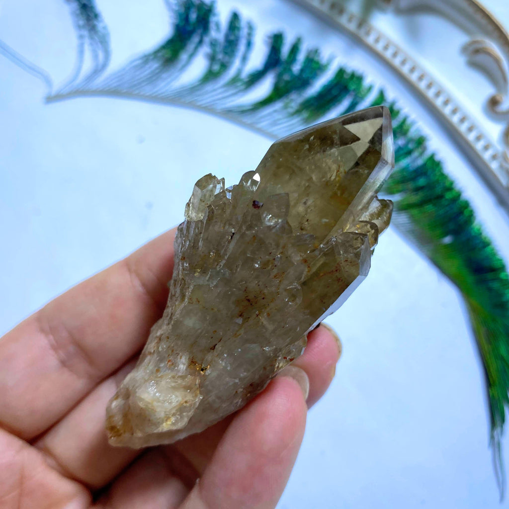 Natural Citrine Kundalini Elestial Point #1 - Earth Family Crystals