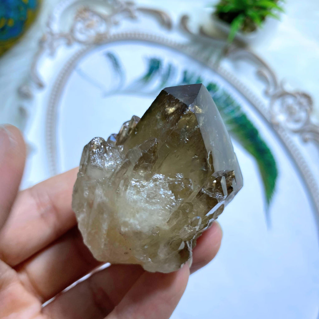 Gorgeous Phantom Inclusion Natural Citrine Kundalini Elestial Cluster - Earth Family Crystals