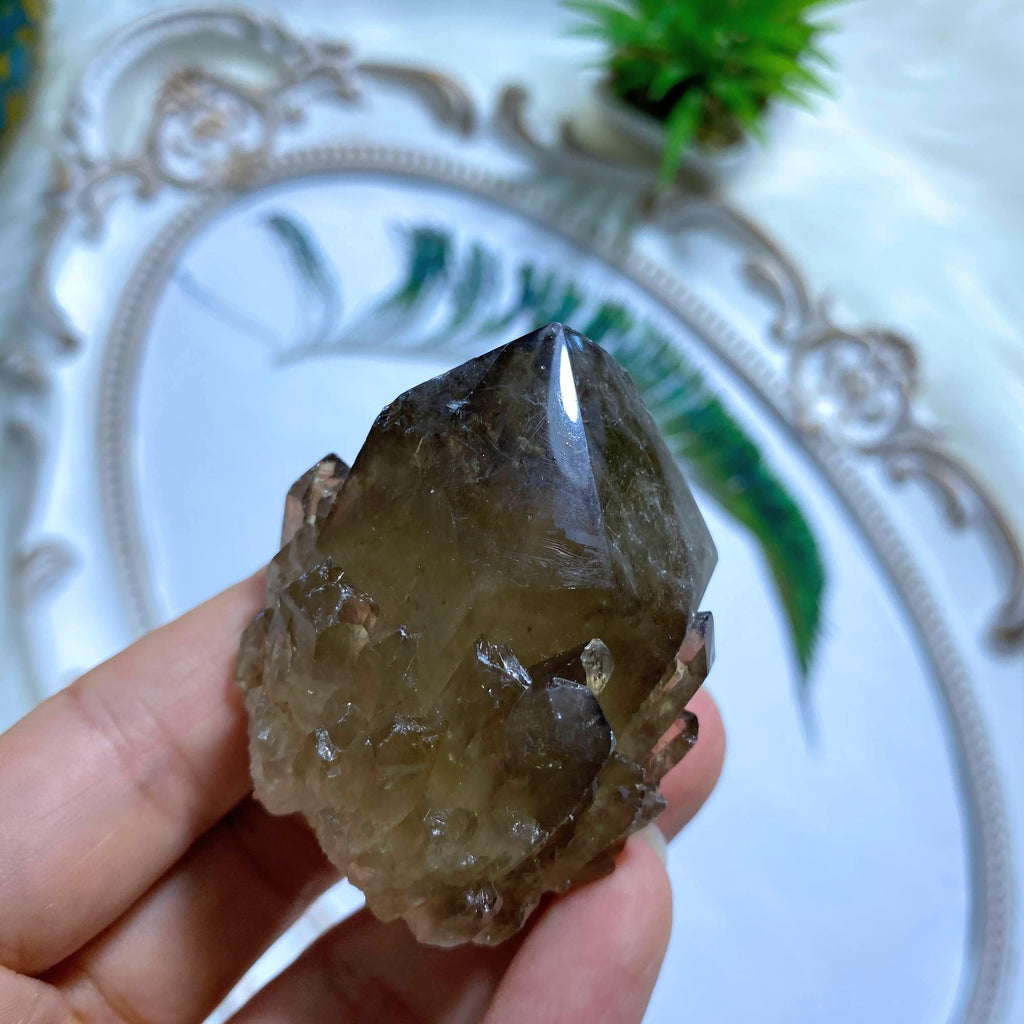 Gorgeous Natural Citrine Kundalini Elestial Cluster - Earth Family Crystals