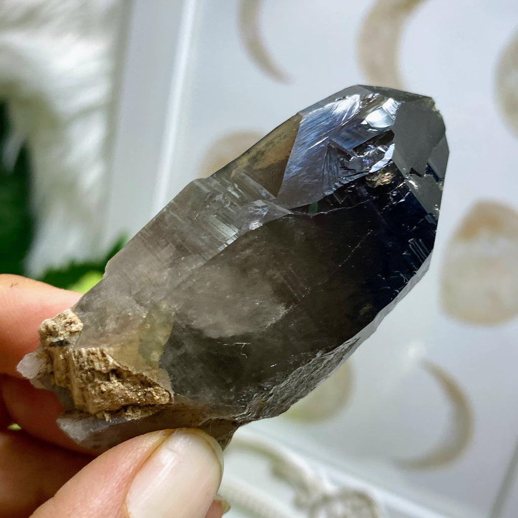 Rare Locale! Colorado Natural Gemmy Smoky Quartz Point - Earth Family Crystals