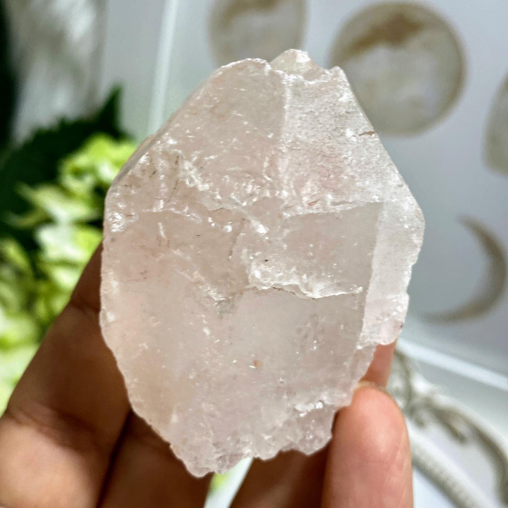 Record Keepers Terminated Point! White & Pink Nirvana Ice Quartz Large specimen from The Himalayas #4 - Earth Family Crystals
