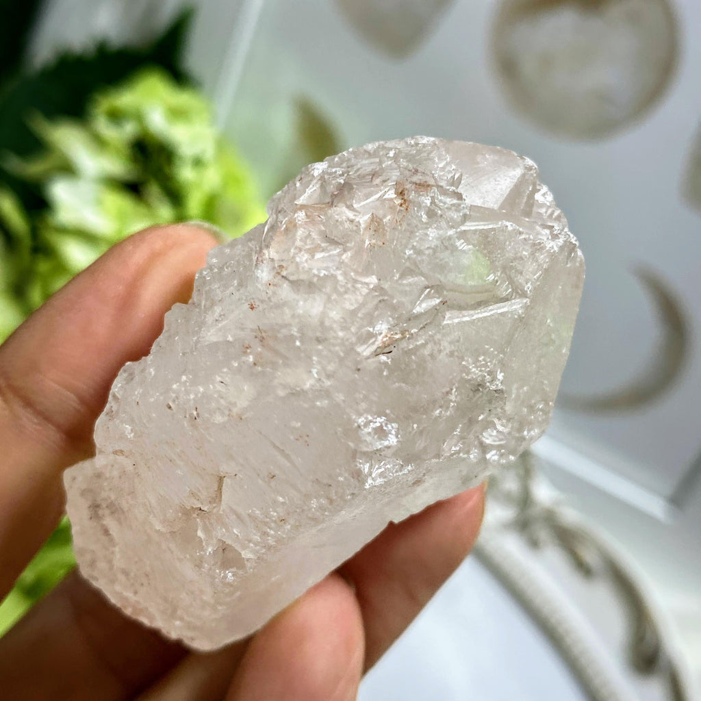Record Keepers Terminated Point! White & Pink Nirvana Ice Quartz Large specimen from The Himalayas #4 - Earth Family Crystals