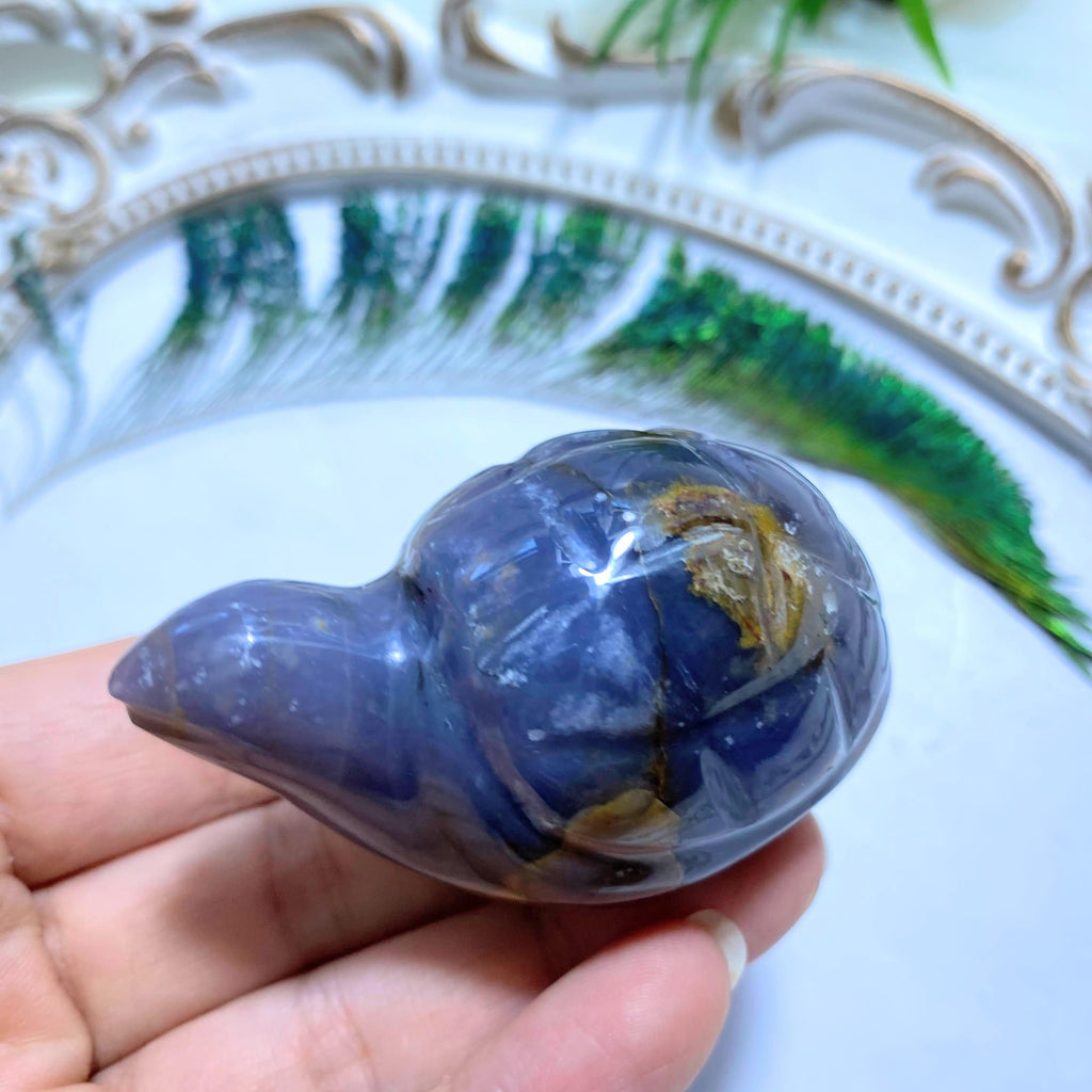 Violet Flame Purple Agate Turtle Display Carving #1 - Earth Family Crystals