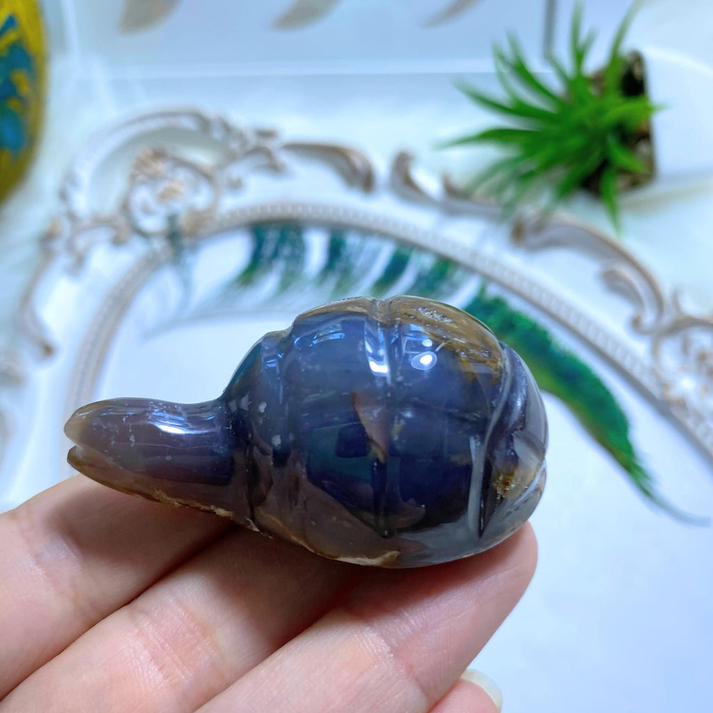 Violet Flame Purple Agate Turtle Display Carving #2 - Earth Family Crystals