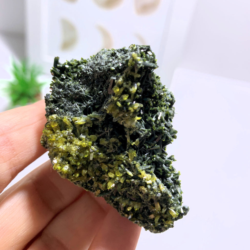 Reserved for Felicia~Rare Locale~Epidote With Quartz Inclusion Collectors Specimen~Locality: Nelson Range, Inyo County, California - Earth Family Crystals