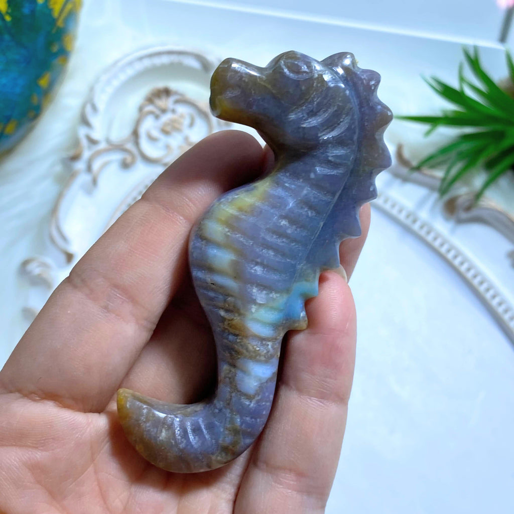 Adorable Violet Flame Purple Agate Seahorse Display Carving #1 - Earth Family Crystals