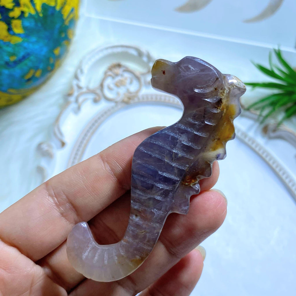 Adorable Violet Flame Purple Agate Seahorse Display Carving #2 - Earth Family Crystals