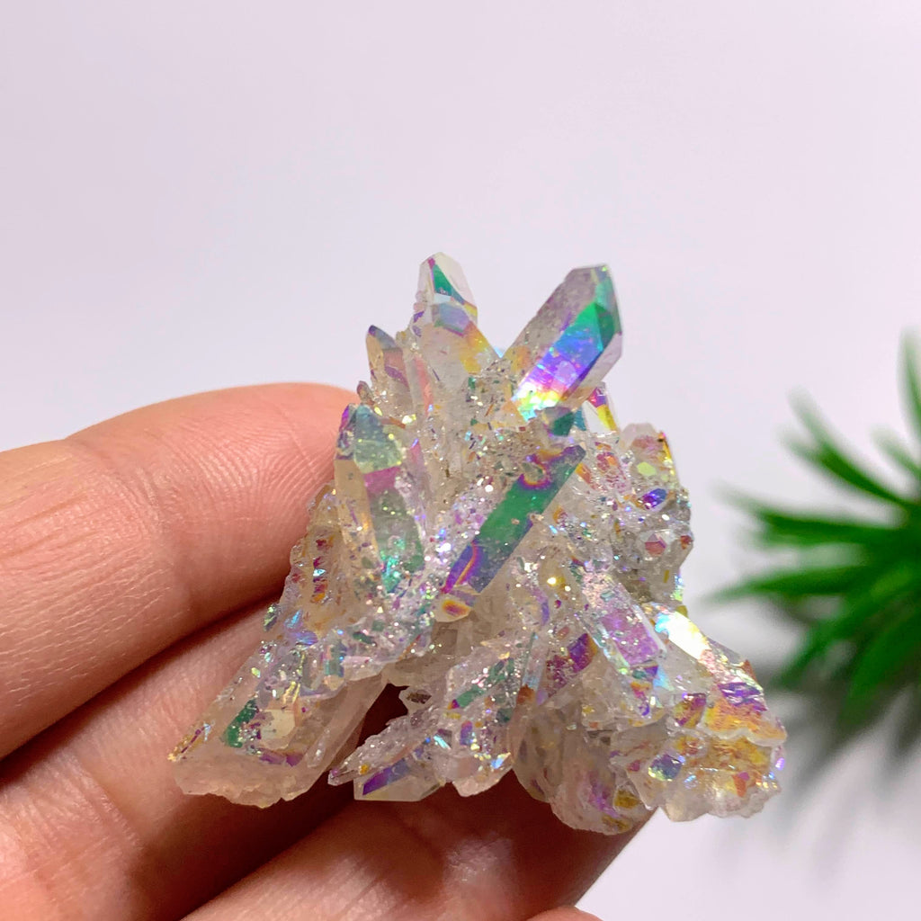 Angel Aura Opal Glow Quartz Cluster From Arkansas #6 - Earth Family Crystals