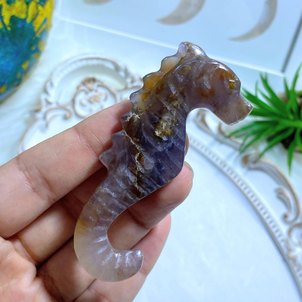 Adorable Violet Flame Purple Agate Seahorse Display Carving #2 - Earth Family Crystals