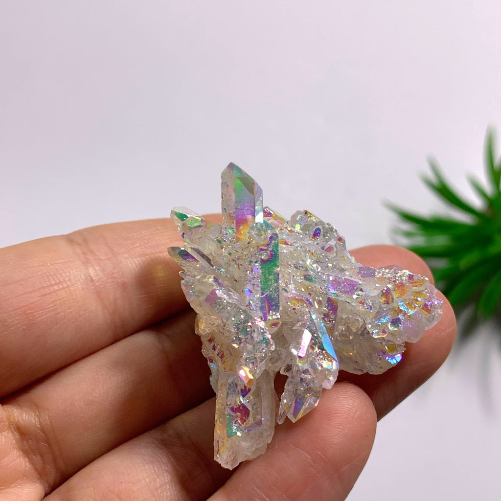 Angel Aura Opal Glow Quartz Cluster From Arkansas #6 - Earth Family Crystals