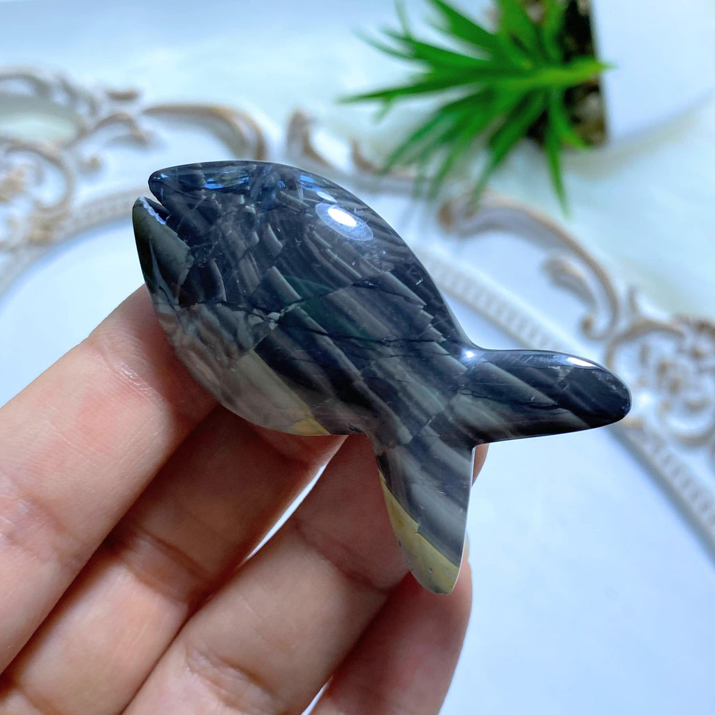 Adorable Violet Flame  Agate Fish Display Carving - Earth Family Crystals