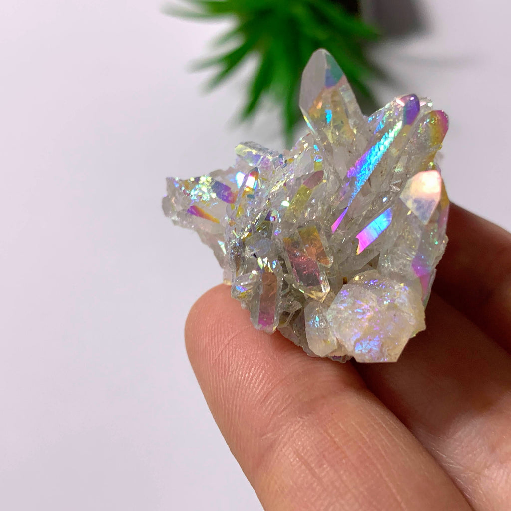 Angel Aura Opal Glow Quartz Cluster From Arkansas #6 - Earth Family Crystals