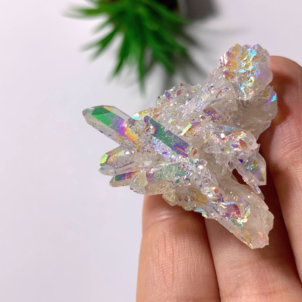 Angel Aura Opal Glow Quartz Cluster From Arkansas #6 - Earth Family Crystals