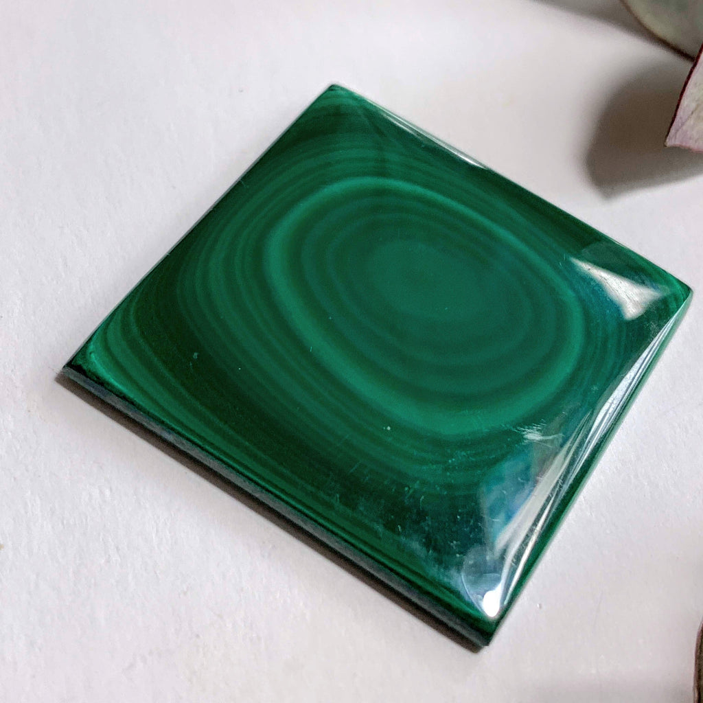 Deep Green Swirls Malachite Cabochon~ Ideal for Crafting - Earth Family Crystals