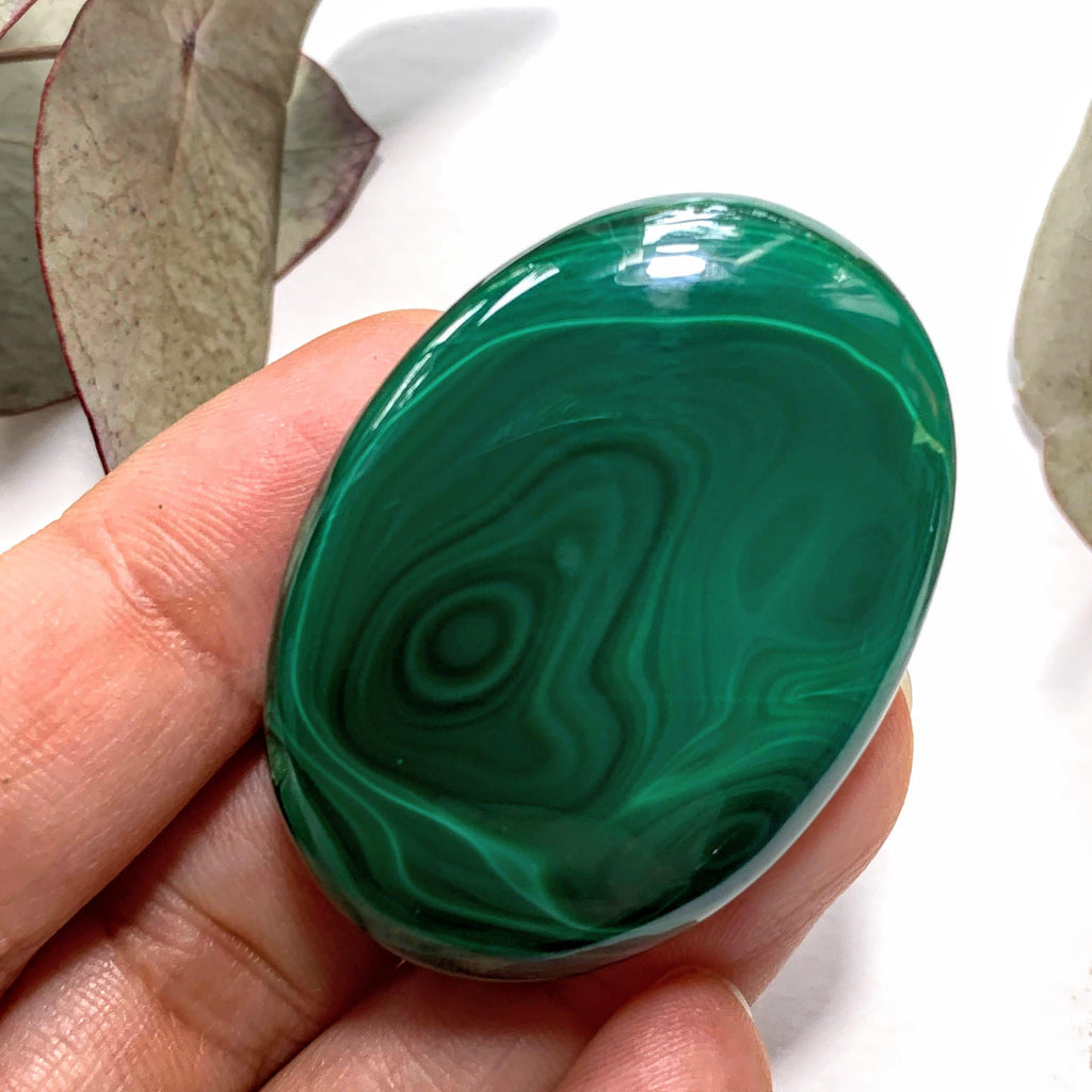 Deep Green Swirls Malachite Cabochon~ Ideal for Crafting #1 - Earth Family Crystals