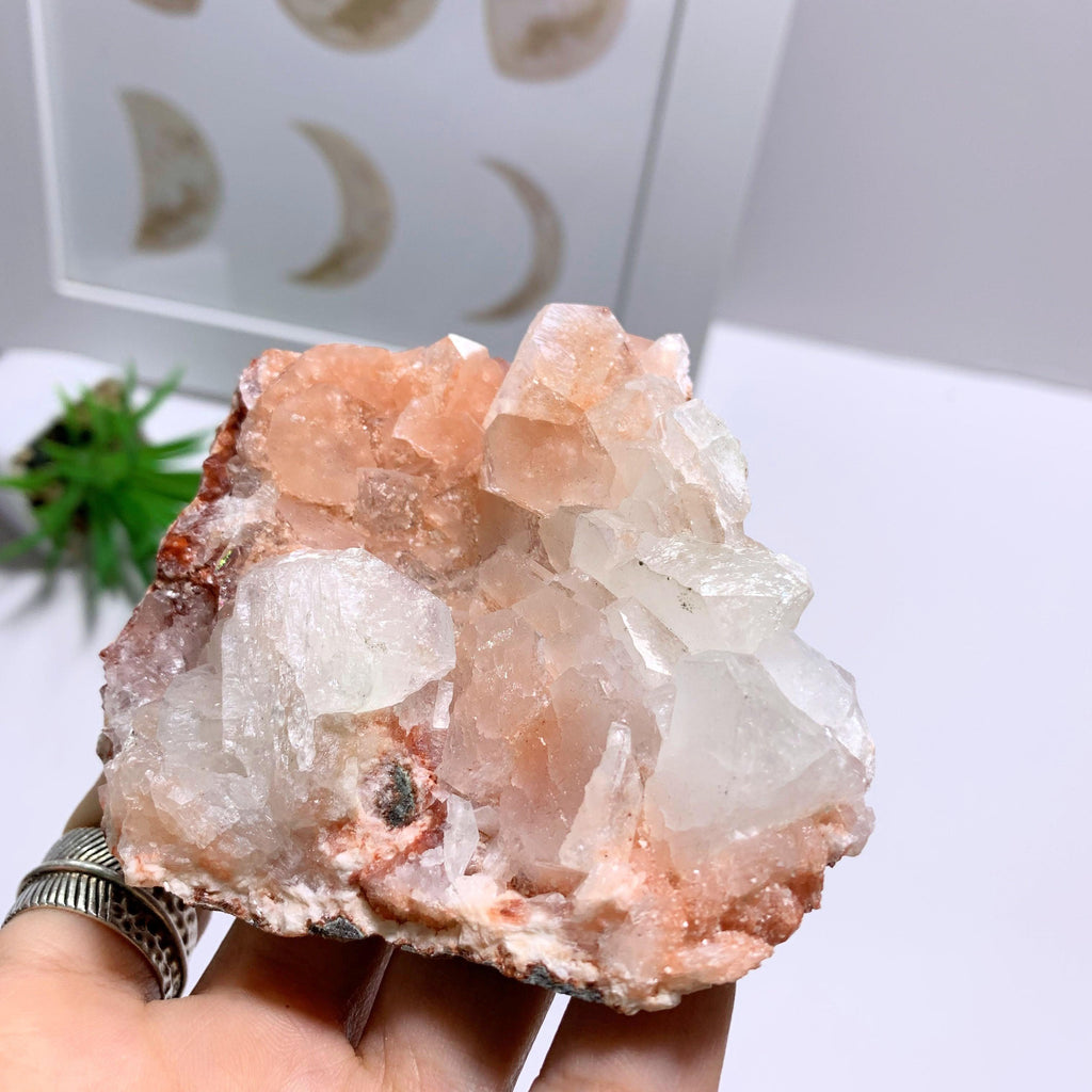 Clear & Pink Apophyllite Crystal Specimen~Locality India - Earth Family Crystals