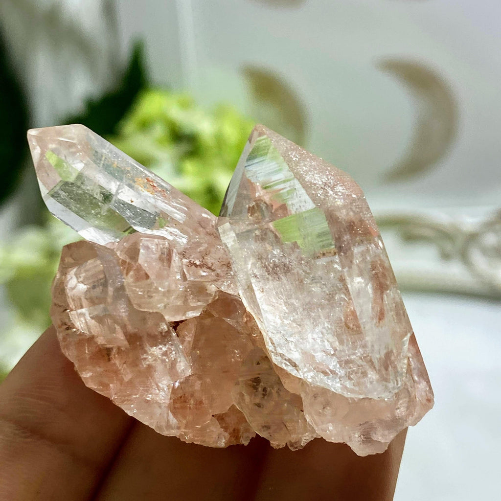 Rare~ Stunning Rosy Pink Samadhi Himalayan Quartz Cluster - Earth Family Crystals
