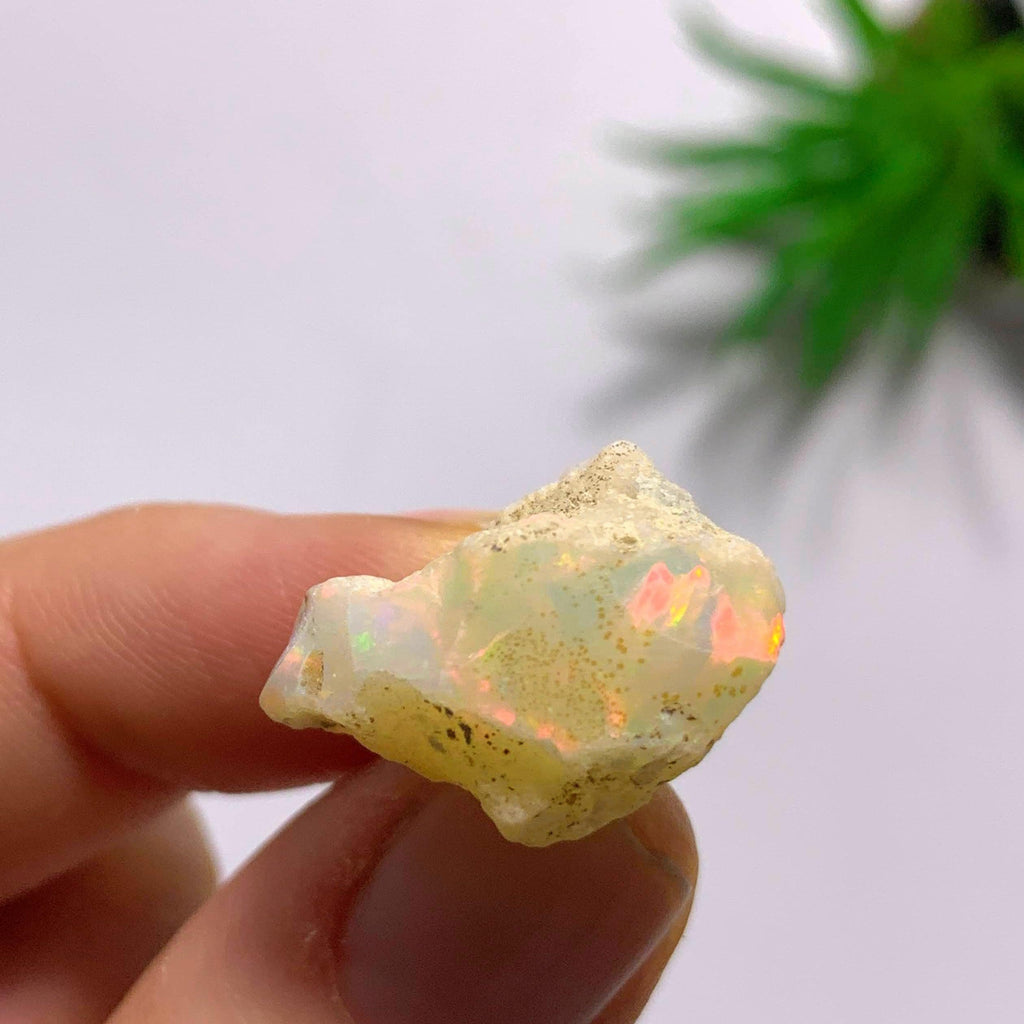 Flashy Ethiopian Opal Raw Specimen #1 - Earth Family Crystals