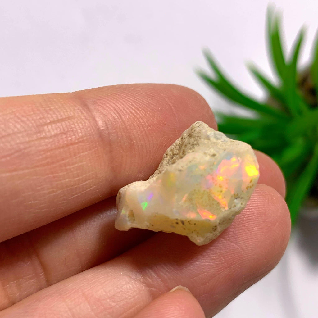 Flashy Ethiopian Opal Raw Specimen #1 - Earth Family Crystals