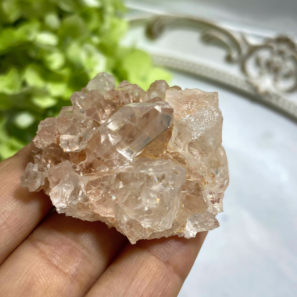 Rare~ Stunning Rosy Pink Samadhi Himalayan Quartz Cluster #1 - Earth Family Crystals