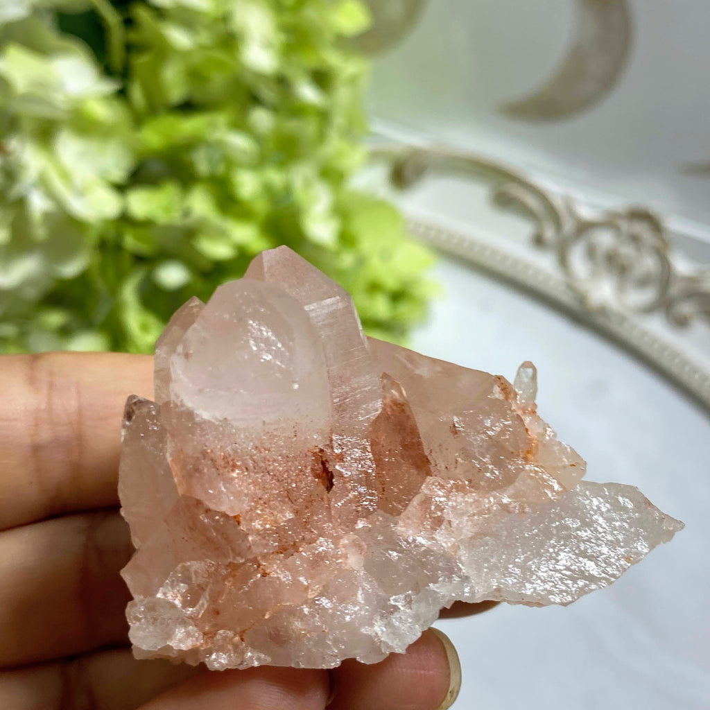 Rare~ Stunning Rosy Pink Samadhi Himalayan Quartz Cluster #2 - Earth Family Crystals