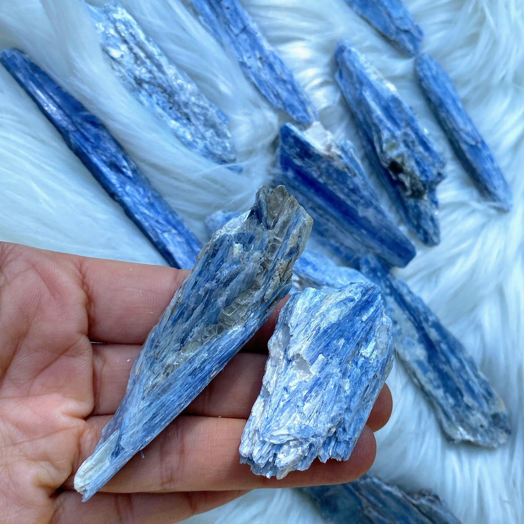 Set of 2 Blue Kyanite Natural Points- Locality: Brazil - Earth Family Crystals