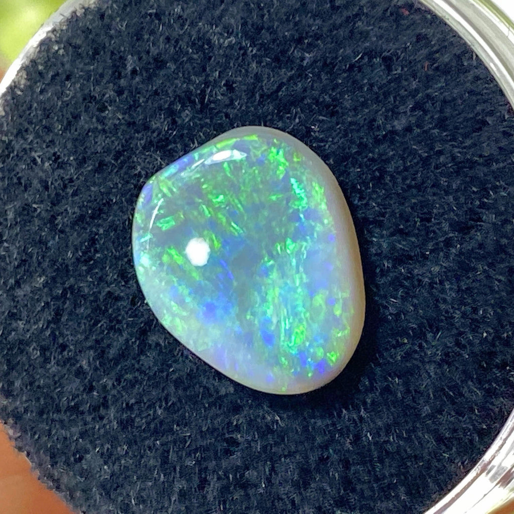 Very Rare! Black Australian Lightning Ridge Boulder Opal Dainty Cabochon In Collectors Box - Earth Family Crystals