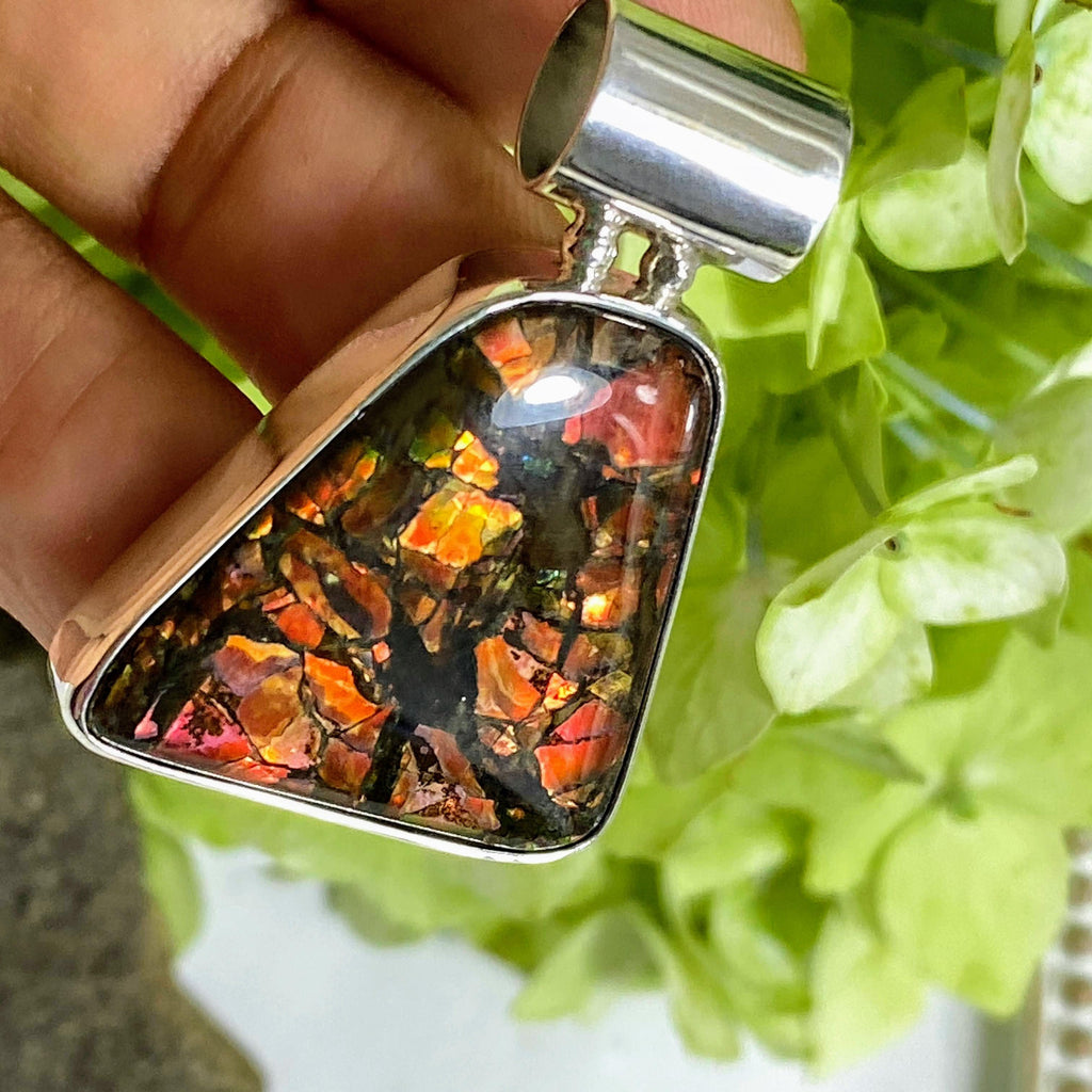 Multi Color Flashes Ammolite Pendant in Sterling Silver (Includes Silver Chain) #1 - Earth Family Crystals