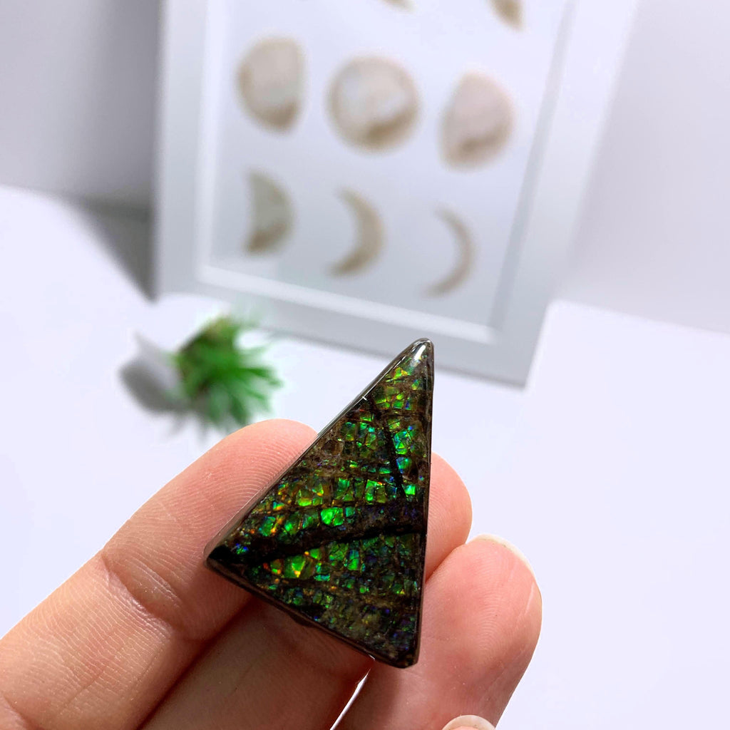 Ammolite Cabochon From Alberta ~Ideal for Crafting #1 - Earth Family Crystals