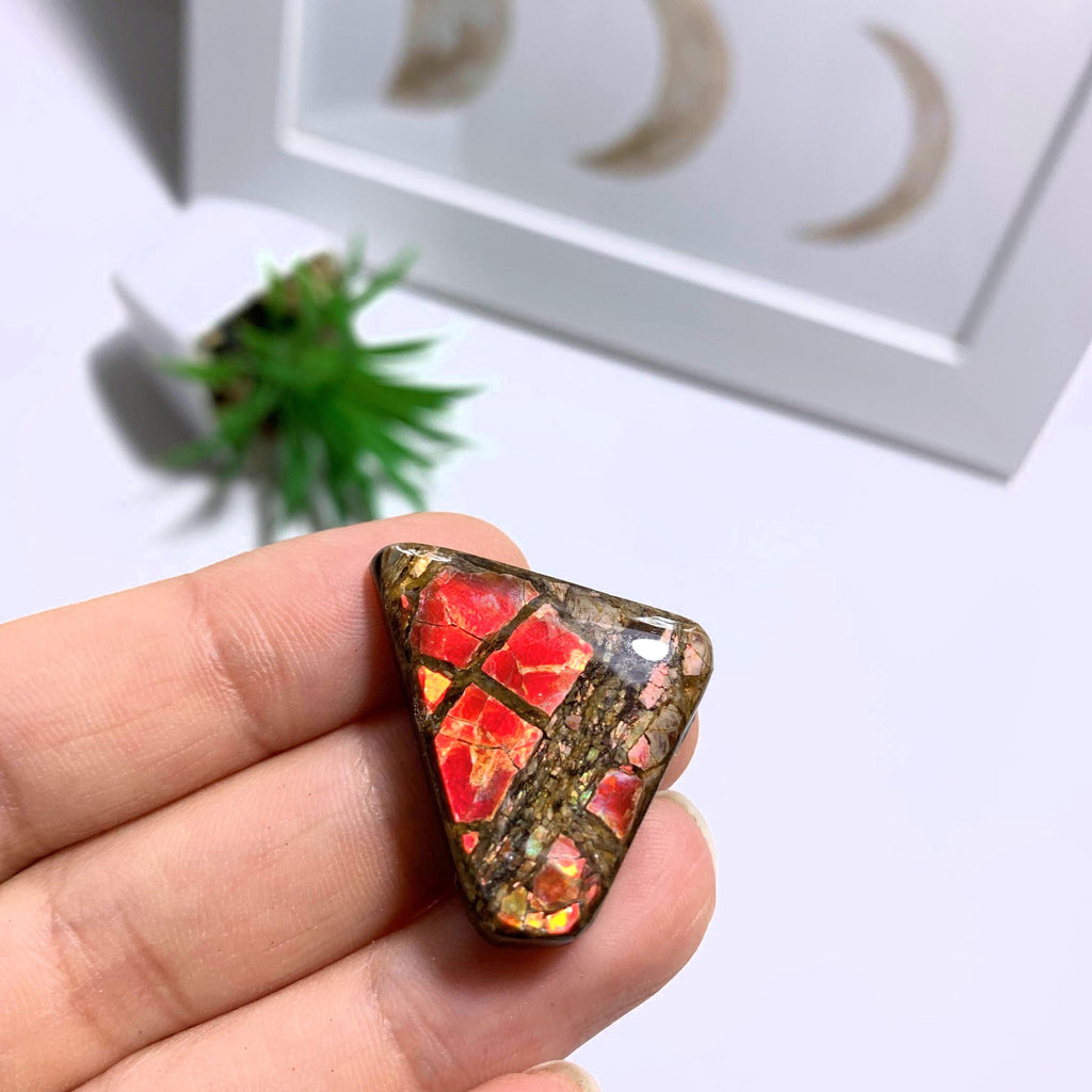 Ammolite Cabochon From Alberta ~Ideal for Crafting #2 - Earth Family Crystals