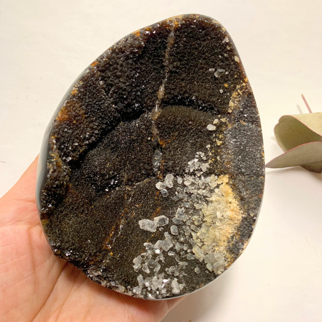 Fascinating Chocolate Brown Druzy Septarian Dragon Egg Display Geode With Calcite Inclusions - Earth Family Crystals